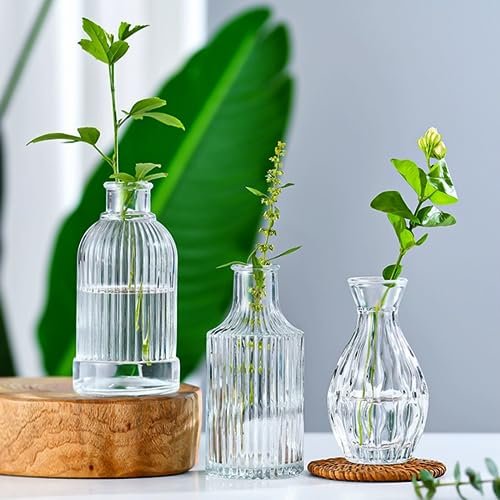 32 Vintage Glass Bud Vases for Rustic Decor