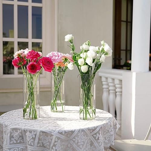 7-Piece Tall Glass Cylinder Vases for Elegant Centerpieces