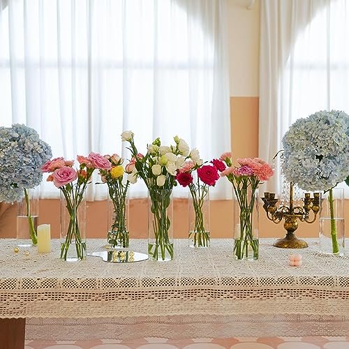 7-Piece Tall Glass Cylinder Vases for Elegant Centerpieces