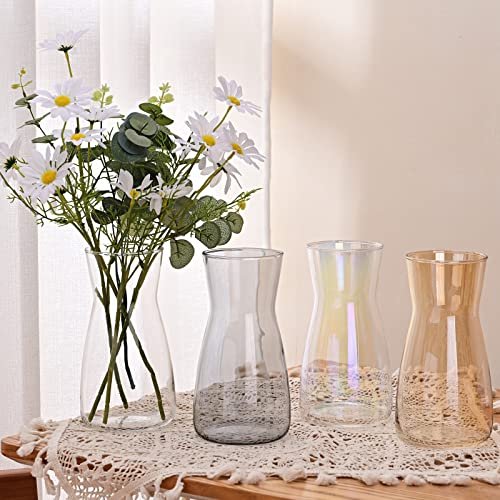 8-Inch Clear Glass Vase: Modern Boho Centerpiece Decor