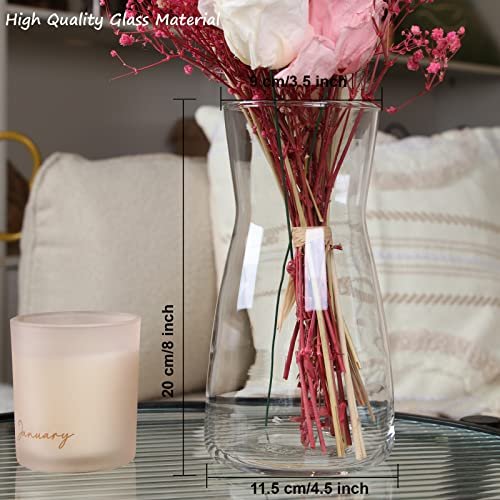 8-Inch Clear Glass Vase: Modern Boho Centerpiece Decor