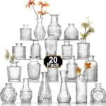 Arme 20 Pcs Vintage Mini Glass Bud Vases Set