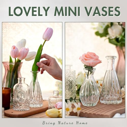 Arme 20 Pcs Vintage Mini Glass Bud Vases Set
