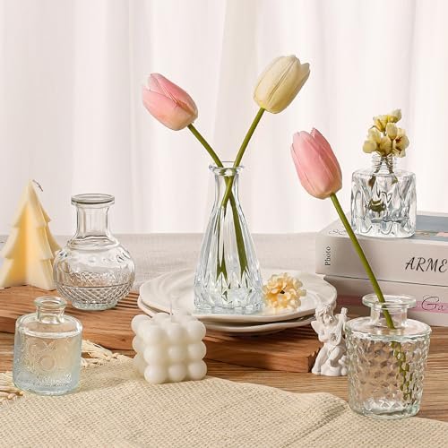 Arme 20 Pcs Vintage Mini Glass Bud Vases Set