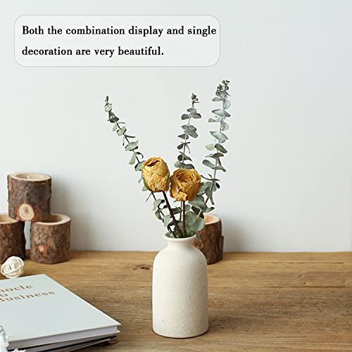 Chic CEMABT Beige Ceramic Vase Set – Modern Boho Decor