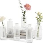 ComSaf Mini Glass Bud Vases Set - Vintage Charm