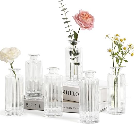ComSaf Mini Glass Bud Vases Set - Vintage Charm