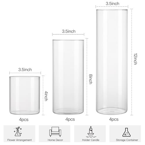 CUCUMI 12-Pack Clear Glass Cylinder Vases for Events