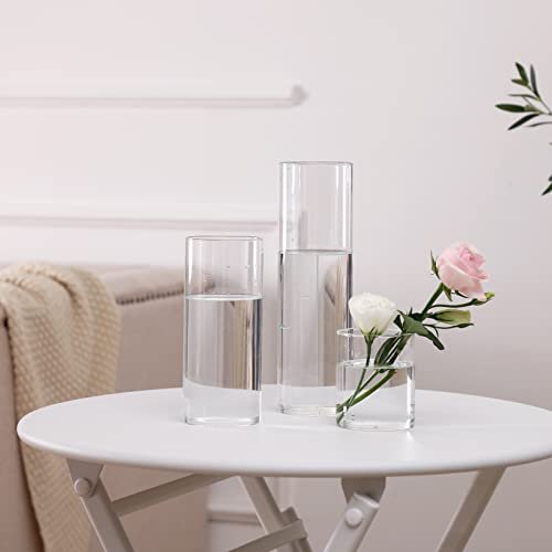 CUCUMI 12-Pack Clear Glass Cylinder Vases for Events