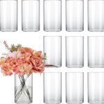 CUCUMI 12pcs Clear Glass Cylinder Vases for Events