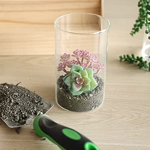 CUCUMI 12pcs Clear Glass Cylinder Vases for Events