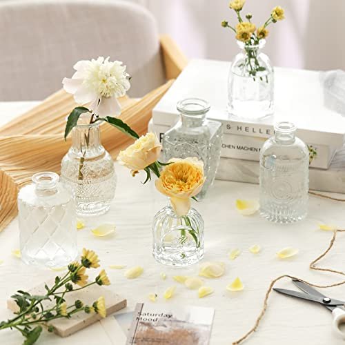 CUCUMI Set of 12 Vintage Glass Bud Vases