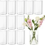 Devilfire 12Pcs Clear Glass Cylinder Vases for Centerpieces