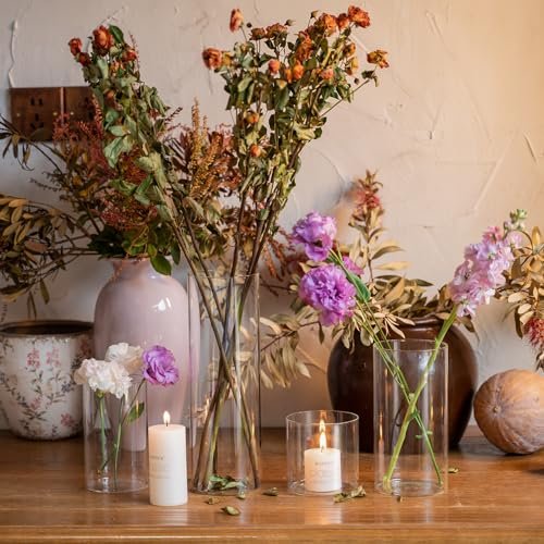 Devilfire 12Pcs Clear Glass Cylinder Vases for Centerpieces