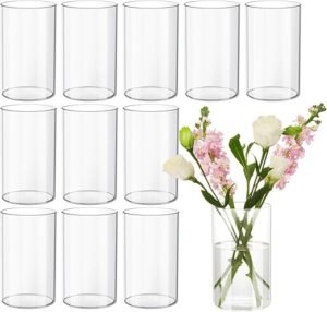 Devilfire 12Pcs Clear Glass Cylinder Vases for Centerpieces