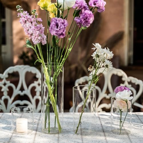 Devilfire 12Pcs Clear Glass Cylinder Vases for Centerpieces