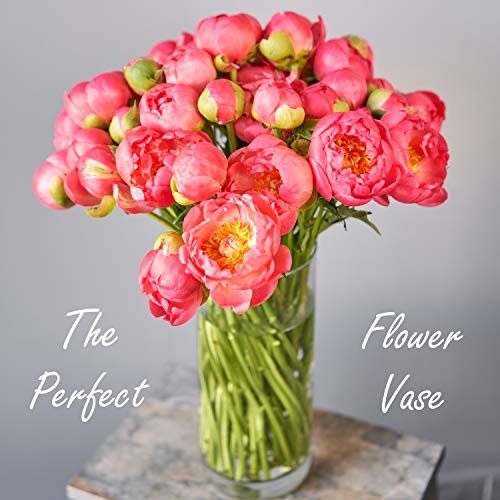 Elegant 14" CYS Excel Glass Cylinder Vase Centerpiece