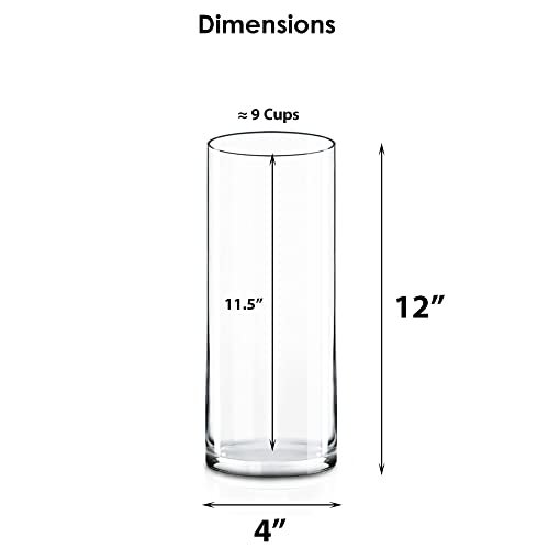 Elegant CYS Excel 12" Clear Cylinder Vase for All Occasions