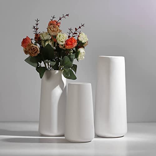 Elegant Nordic Ceramic Vase for Modern Home Decor