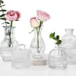 Fixwal Vintage Bud Vase Set - Elegant Glass Decor