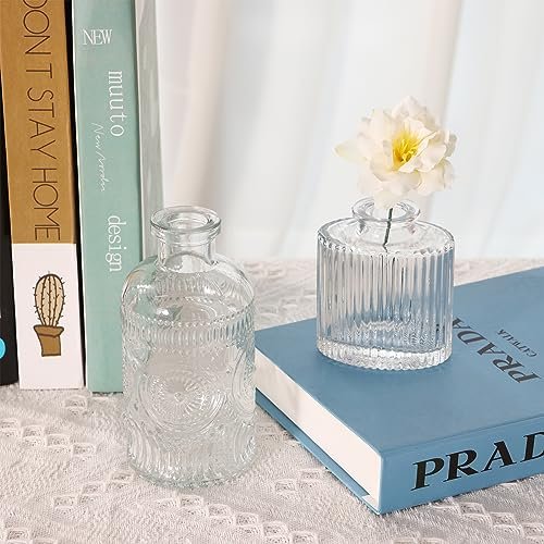 Fixwal Vintage Bud Vase Set - Elegant Glass Decor
