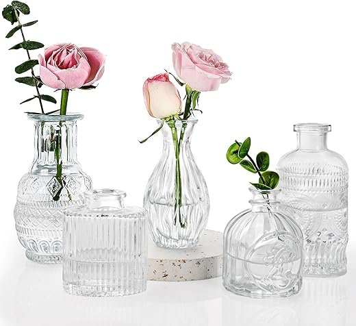 Fixwal Vintage Bud Vase Set - Elegant Glass Decor