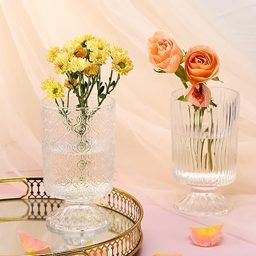 Fixwal Vintage Glass Vases Set of 3 for Elegant Decor