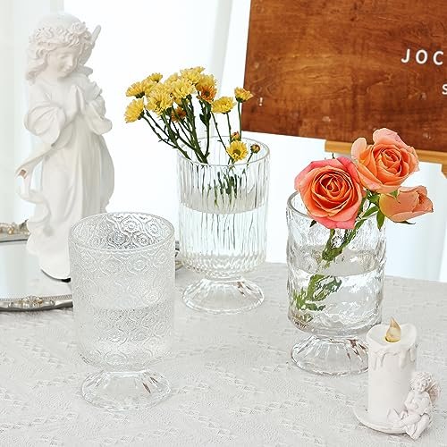 Fixwal Vintage Glass Vases Set of 3 for Elegant Decor