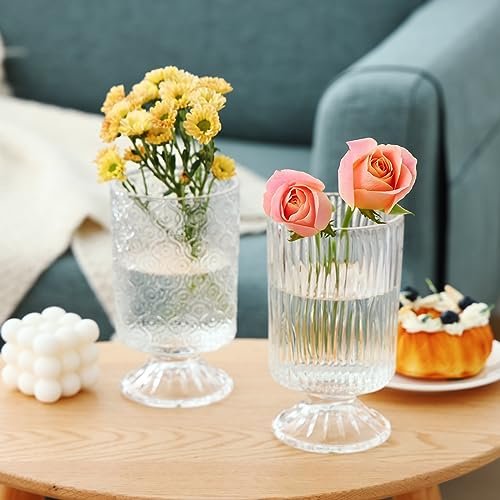 Fixwal Vintage Glass Vases Set of 3 for Elegant Decor