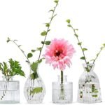 Mapoxy Vintage Glass Bud Vases Set - Elegant Decor