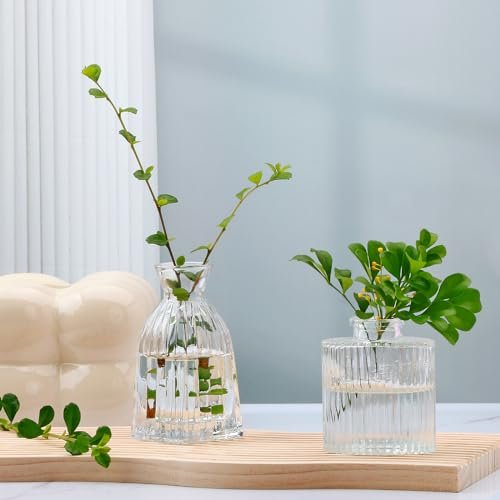 Mapoxy Vintage Glass Bud Vases Set - Elegant Decor