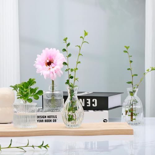 Mapoxy Vintage Glass Bud Vases Set - Elegant Decor