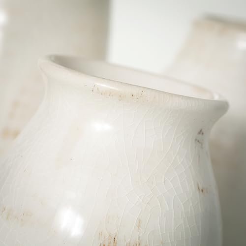 Rustic Ceramic Bud Vases - Perfect Farmhouse Decor Set