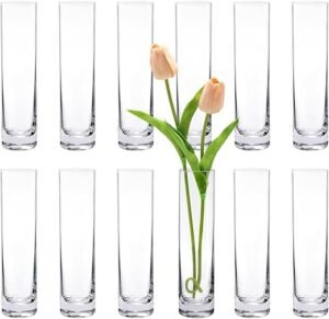 Set of 12 Handmade Clear Glass Cylinder Vases