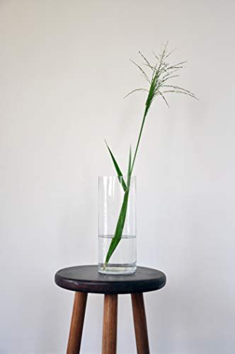 Stunning 12" Clear Glass Cylinder Vase for Weddings